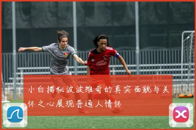 小白揭秘波波维奇的真实面貌与关怀之心展现普通人情怀